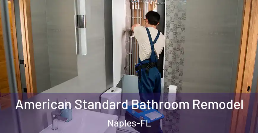 inner Bathroom imggen American Standard Bathroom Remodel Naples-FL