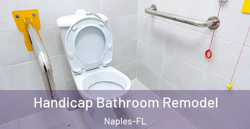 inner Bathroom imggen Handicap Bathroom Remodel Naples-FL