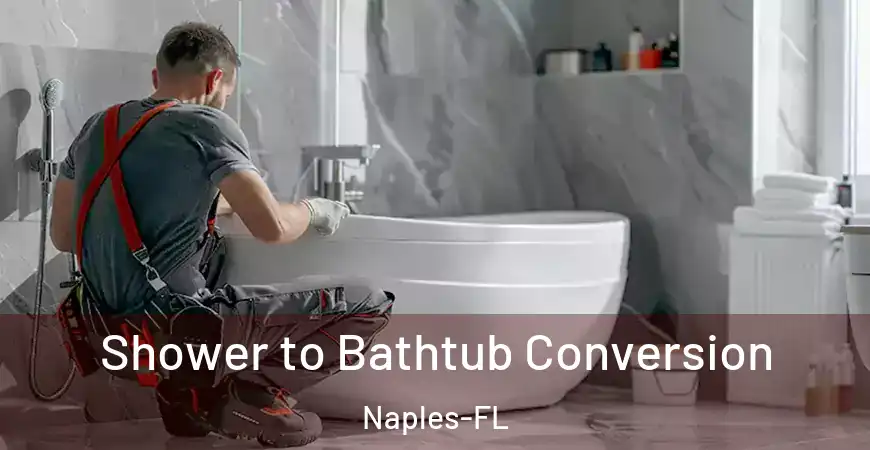 inner Bathroom imggen Shower to Bathtub Conversion Naples-FL