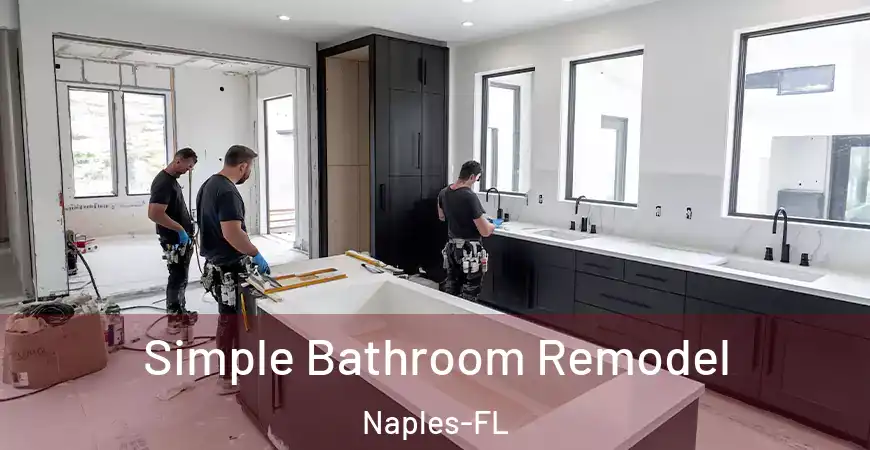 inner Bathroom imggen Simple Bathroom Remodel Naples-FL