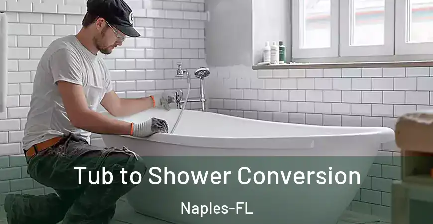 inner Bathroom imggen Tub to Shower Conversion Naples-FL